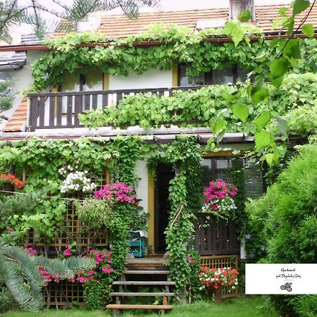 Apartament Pod Strzelecka Gora Jelenia Góra Extérieur photo